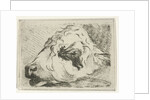 Head of a calf, in profile, resting on a beam by Hermanus Fock