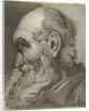 Portrait of an old man in profile by Hermanus Fock