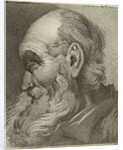 Portrait of an old man in profile by Hermanus Fock