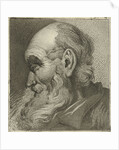 Portrait of an old man in profile by Hermanus Fock