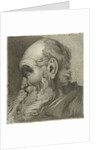 Portrait of an old man in profile by Hermanus Fock