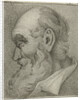 Portrait of an old man in profile by Hermanus Fock
