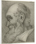 Portrait of an old man in profile by Hermanus Fock