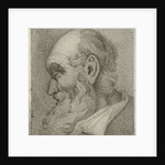 Portrait of an old man in profile by Hermanus Fock