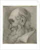Portrait of an old man in profile by Hermanus Fock