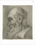 Portrait of an old man in profile by Hermanus Fock