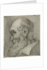 Portrait of an old man in profile by Hermanus Fock