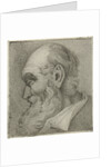 Portrait of an old man in profile by Hermanus Fock