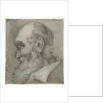 Portrait of an old man in profile by Hermanus Fock