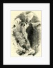 Switzerland Engraving 19 C by Anonymous