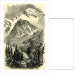 Head of the Val Anzasca Switzerland by Anonymous