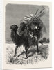 A Mongol Camel on the March by Anonymous