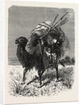 A Mongol Camel on the March by Anonymous