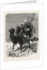 A Mongol Camel on the March by Anonymous