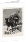 A Mongol Camel on the March by Anonymous