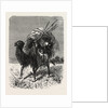 A Mongol Camel on the March by Anonymous