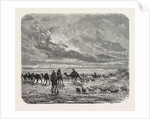A Mongol Camp on the Move by Anonymous