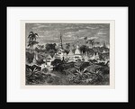 View in Pegu, British Burmah by Anonymous