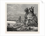 Idols on the Banks of the River Irrawaddy, Burmah by Anonymous
