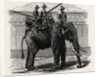A Siamese War Elephant. by Anonymous