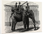 A Siamese War Elephant. by Anonymous