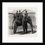 A Siamese War Elephant. by Anonymous