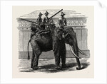A Siamese War Elephant. by Anonymous