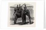 A Siamese War Elephant. by Anonymous