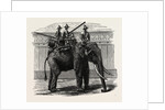 A Siamese War Elephant. by Anonymous