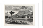 View of Cape Comorin, the Southern Point of India. by Anonymous