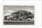 The Great Banyan Tree (Ficus Indica) in the Botanical Gardens, Calcutta, India by Anonymous