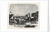 An Indigo Factory at Allahabad. by Anonymous
