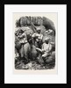 Indian Cotton Operatives by Anonymous