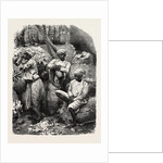Indian Cotton Operatives by Anonymous