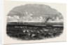 Scene on the Steppes of the Caspian by Anonymous