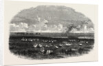 Scene on the Steppes of the Caspian by Anonymous