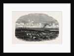 Scene on the Steppes of the Caspian by Anonymous