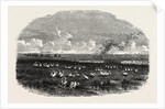 Scene on the Steppes of the Caspian by Anonymous