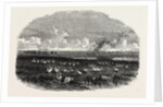 Scene on the Steppes of the Caspian by Anonymous