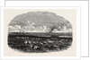 Scene on the Steppes of the Caspian by Anonymous