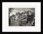 Loading a Cotton Steamer by Anonymous