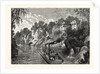 Loading a Cotton Steamer by Anonymous