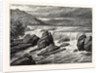 View of the Falls of St. Anthony, Minnesota by Anonymous