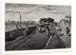 On the Course (MaidaN), Calcutta, with a View of Government House and the Ochterlony Monument, India by Anonymous
