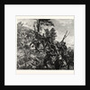 Attack on the Spicheren Mountain Led by General Francois on 6 August 1870, France by Anonymous
