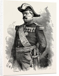 General Vinoy, Commander of the Troops in Paris, France by Anonymous
