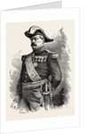 General Vinoy, Commander of the Troops in Paris, France by Anonymous