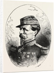 General Chanzy, Commander of the Second Army Loire, France by Anonymous