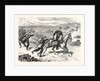 A Mounted Collection Post for the Field Post by Anonymous