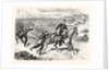 A Mounted Collection Post for the Field Post by Anonymous